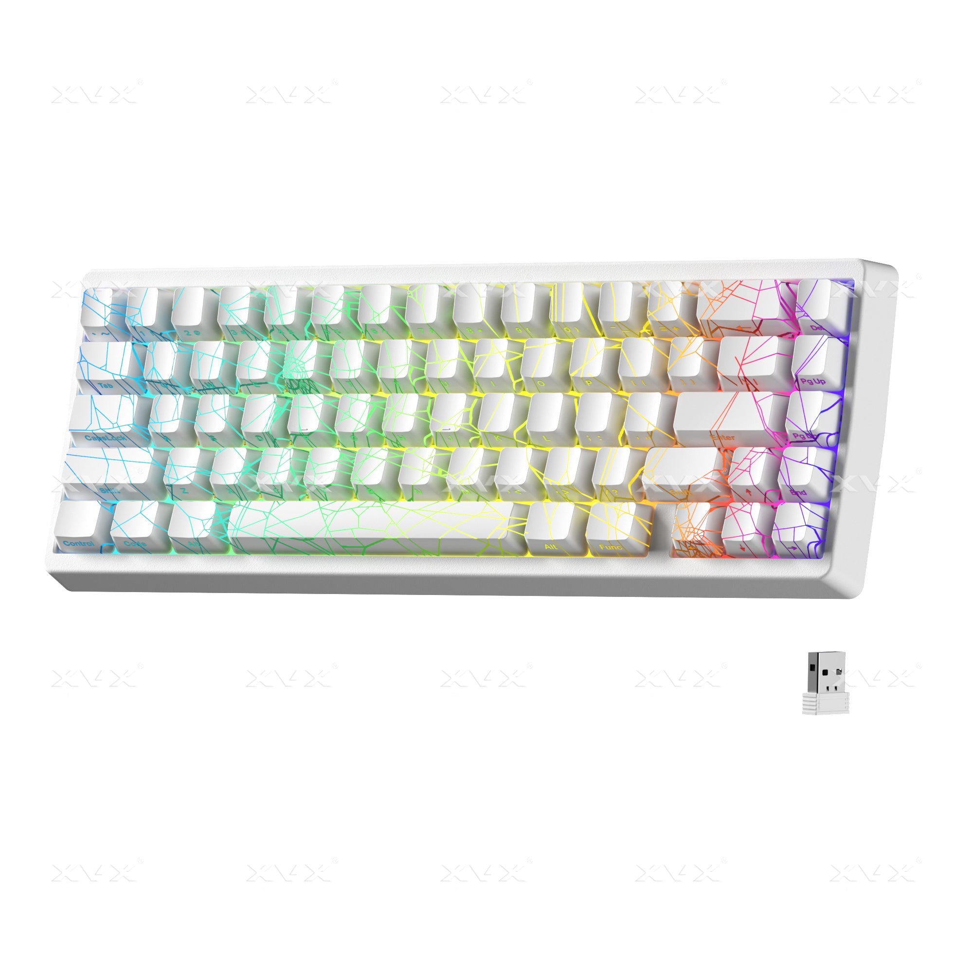 XVX M67 Spider Keyboard